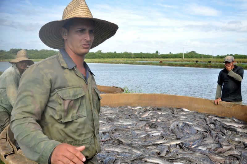 sancti spiritus, pesca, pescaspir, presa zaza