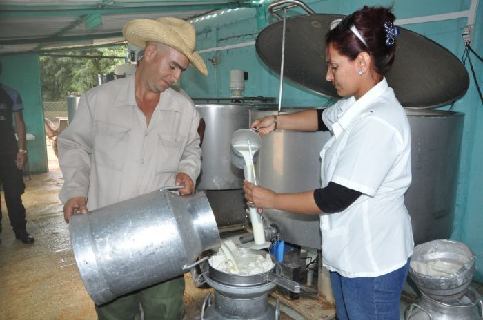 sancti spiritus, acopio de leche, leche