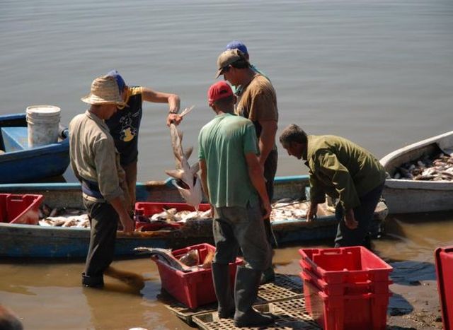 sancti spiritus, pesca, pescaspir, presa zaza