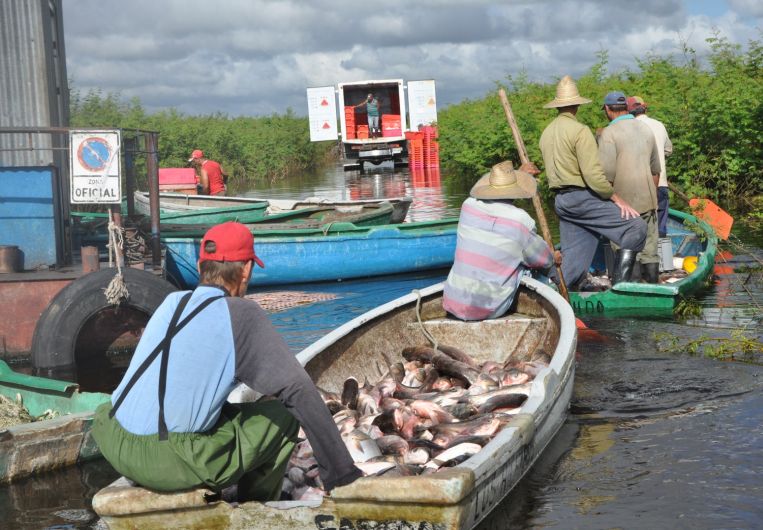 sancti spiritus, pesca, pescaspir, acuiculturar, presa zaza