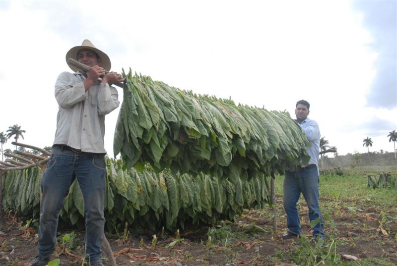 sancti spiritus, bandec, ccs,  cooperativa de creditos y servicios