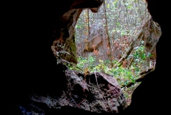 sancti spiritus, las llanadas, yaguajay, arqueologia, museo nacional de historia natural de cuba