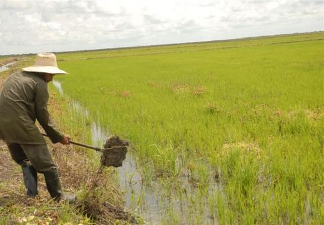 sancti spiritus, medio ambiente, citma