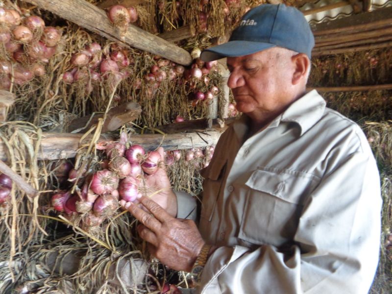 sancti spiritus, produccion de alimentos, banao, alimentos precios