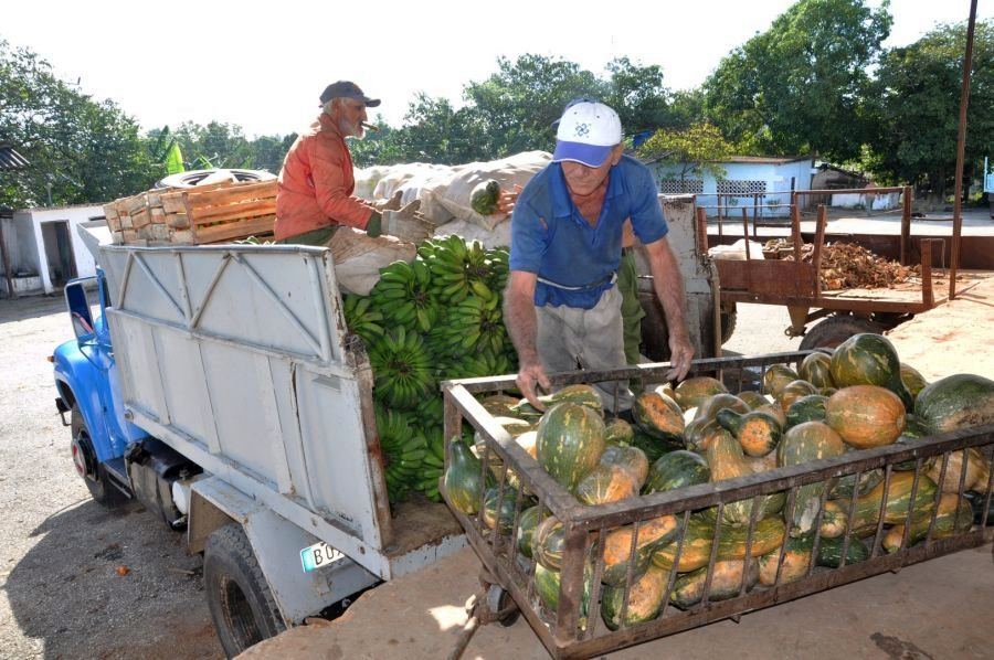 sancti spiritus, taguasco, acopio, alimentos precios, produccion de alimentos