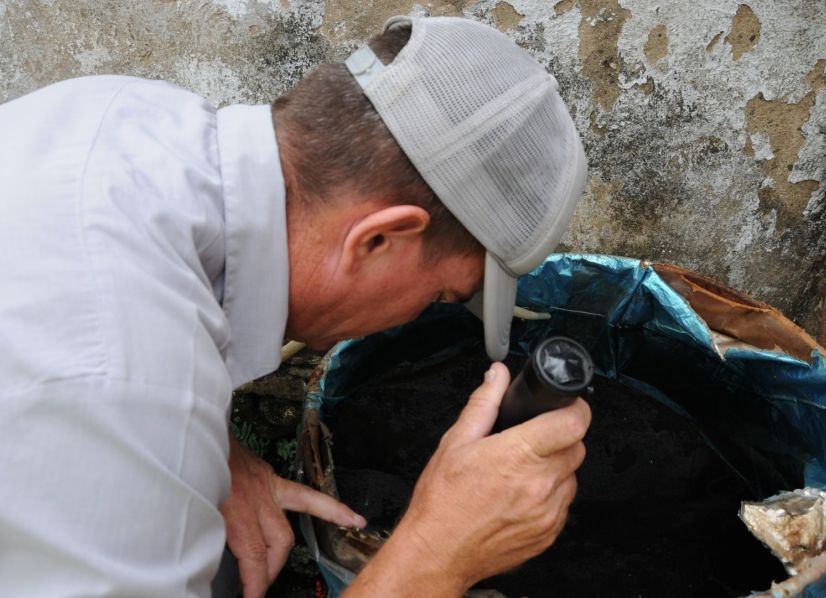 La eliminación del vector es muy importante para la transmisión de los virus. (Foto: Vicente Brito/ Escambray)