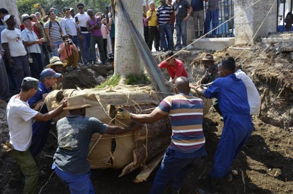 cuba, la habana, el templete, ceiba, eusebio leal, oficina del historiador de la habana