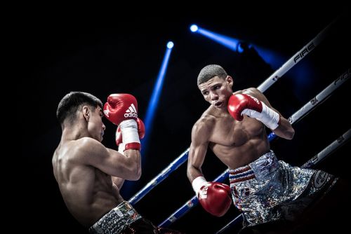 Veitía volverá a presentarse en un cartel de la Serie Mundial de Boxeo.