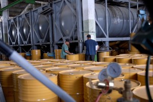 En la planta de beneficio se procesa el 70 por ciento de la miel de Cuba. (Foto Montos) sancti spiritus, cuba, planta de beneficio de la miel, lucha antidrogas, aduana general de la republica