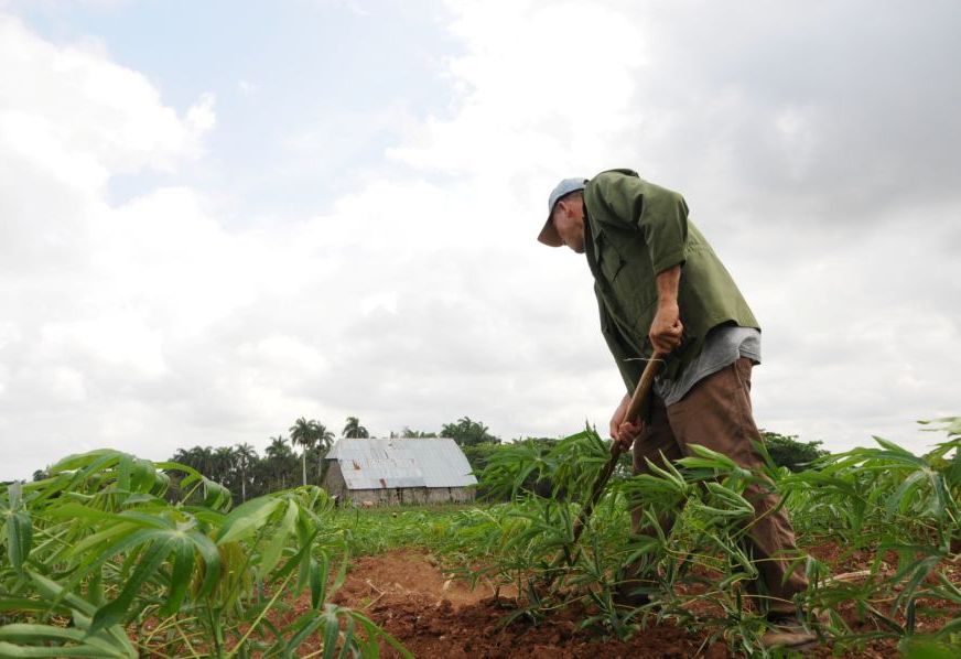 sancti spiritus, dia del campesino, campesinos, anap, anapistas