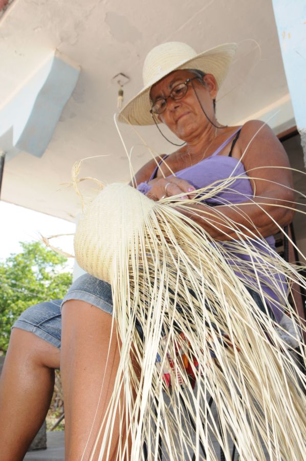 El arte de tejer yarey sigue vivo en Paredes.