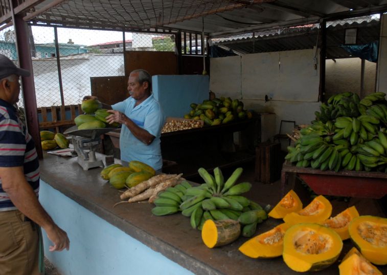 Las nuevas medidas para el ordenamiento de la comercialización de productos agrícolas entrarán en vigor este martes. (Foto Vicente Brito/Escambray)