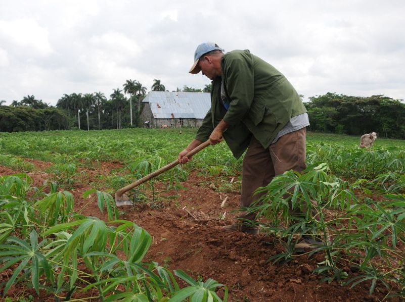 sancti spiritus, cpa 10 de octubre, anap, anapistas, campesinos