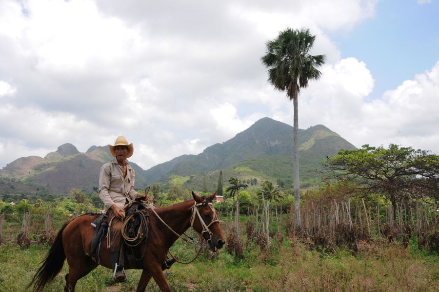 sancti spiritus, alimentos precios, comercializacion de productos agricolas, acopio