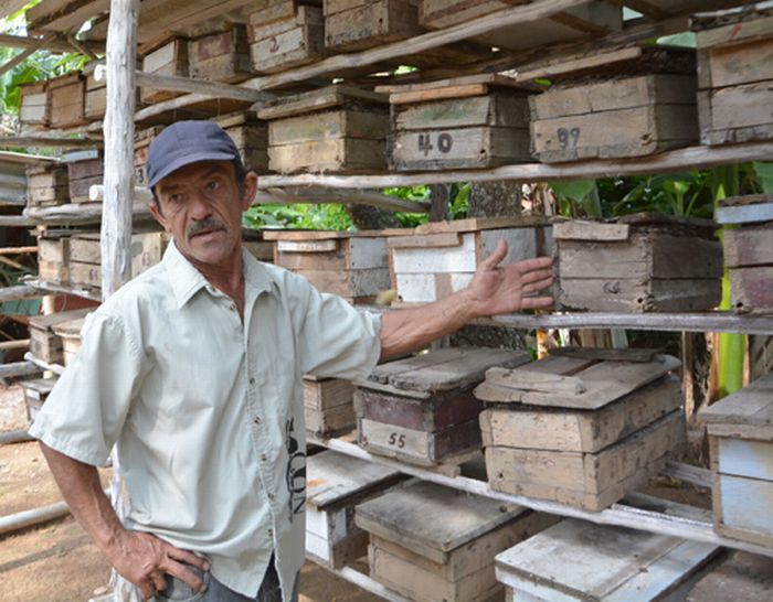 sancti spiritus, apicultura, miel, yaguajay