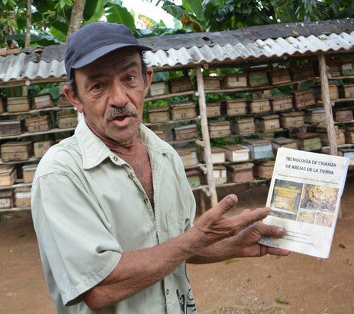 sancti spiritus, apicultura, miel, yaguajay