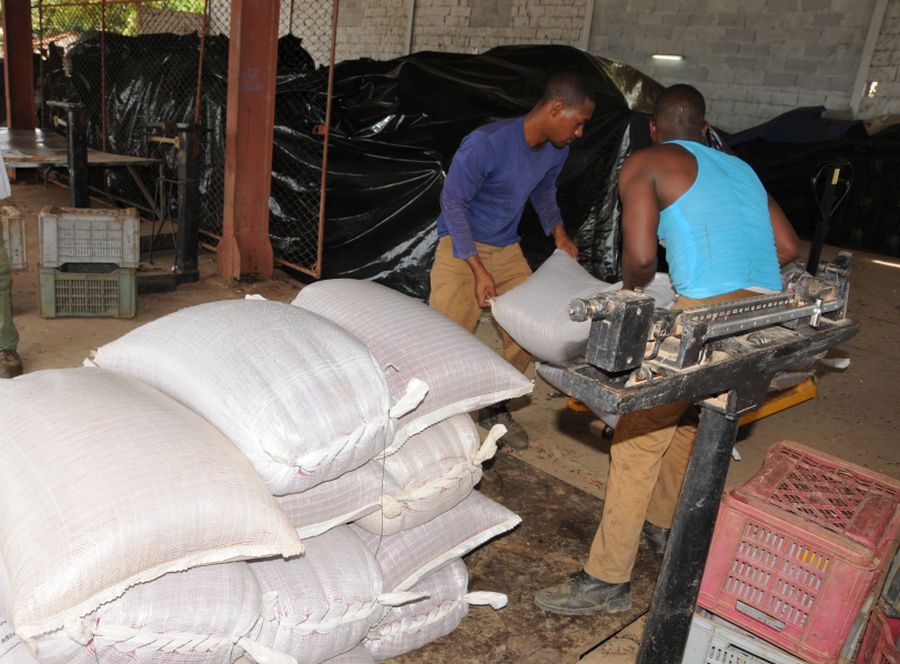 sancti spiritus, alimentos precios, comercializacion de productos agricolas, acopio