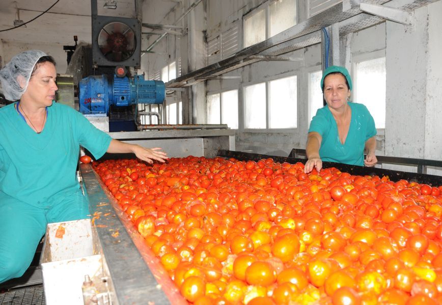 sancti spiritus, fabrica de conservas, industria alimenticia