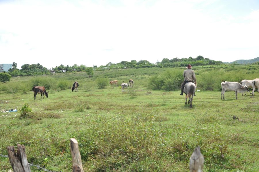 sancti spiritus, banco de credito y comercio, bandec, cooperativa de produccion agropecuaria, ubpc, cpa, ccs