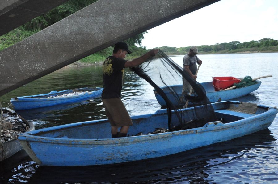 sancti spiritus, sancti spiritus en 26, pesca, pescaspir, acuicultura