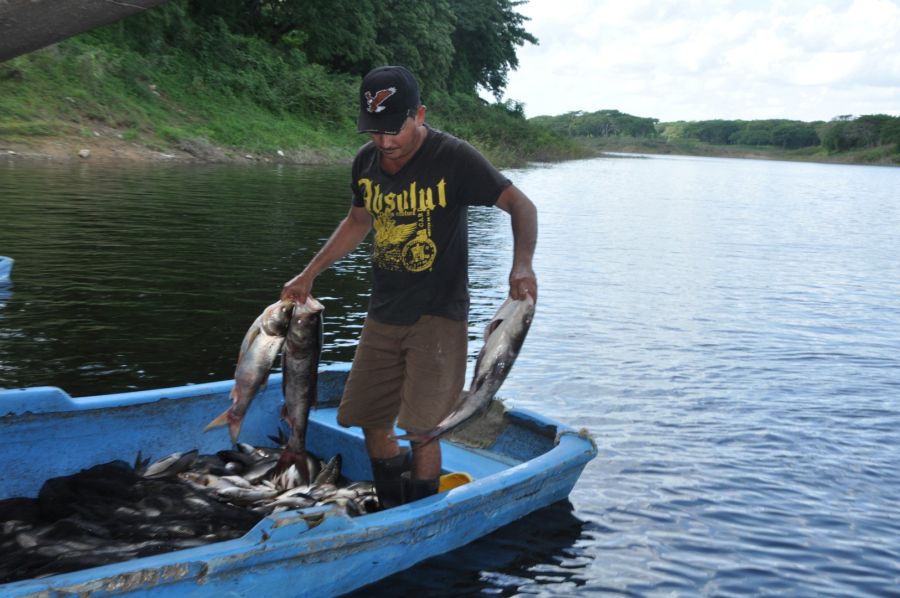 sancti spiritus, sancti spiritus en 26, pesca, pescaspir, acuicultura