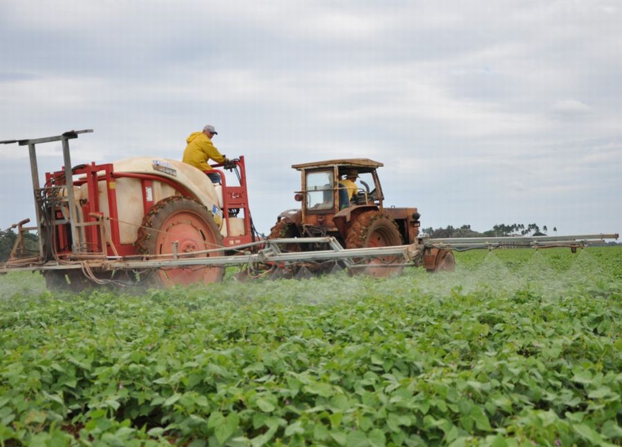 sancti spiritus, agricultura, sanidad vegetal, enfermedades, productos agricolas