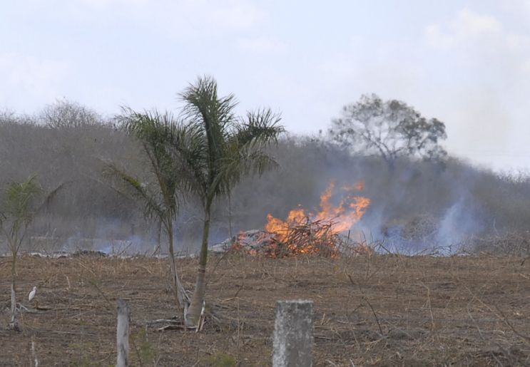 sancti spiritus, incendios forestales, guardabosques