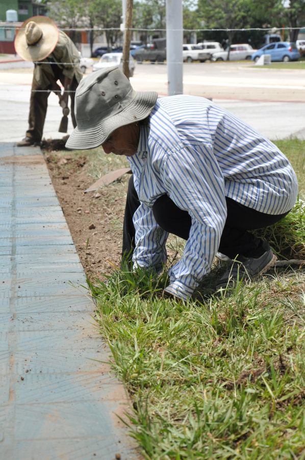 sancti spiritus en 26, servicios comunales, plantas ornamentales, fomento