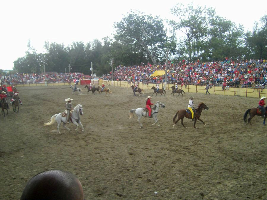 sancti spiritus, rodeo, rodeo cubano, feria del cebu, parque de ferias delio luna echemendía