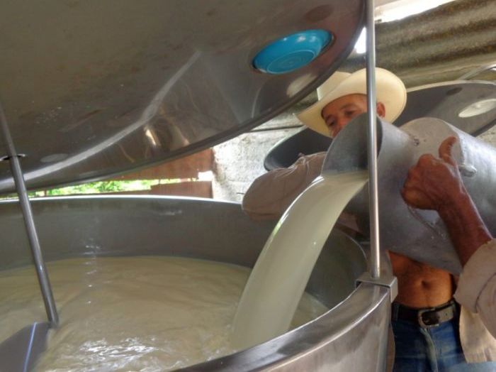 La provincia ha logrado completar la instalación de casi 130 puntos refrigerados de leche. (Foto: Vicente Brito/ Escambray)