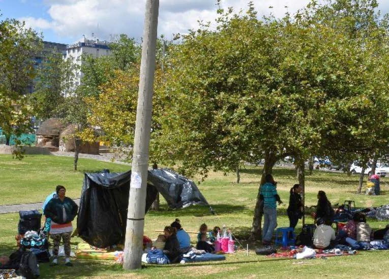 Los cubanos acamparon por varios días en el parque El Arbolito en Quito, para pedir a la embajada mexicana que los reciba en su país. (Foto: El Telégrafo)