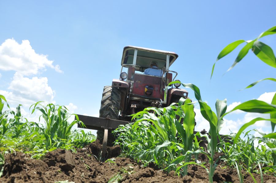 sancti spiritus en 26, produccion de alimentos