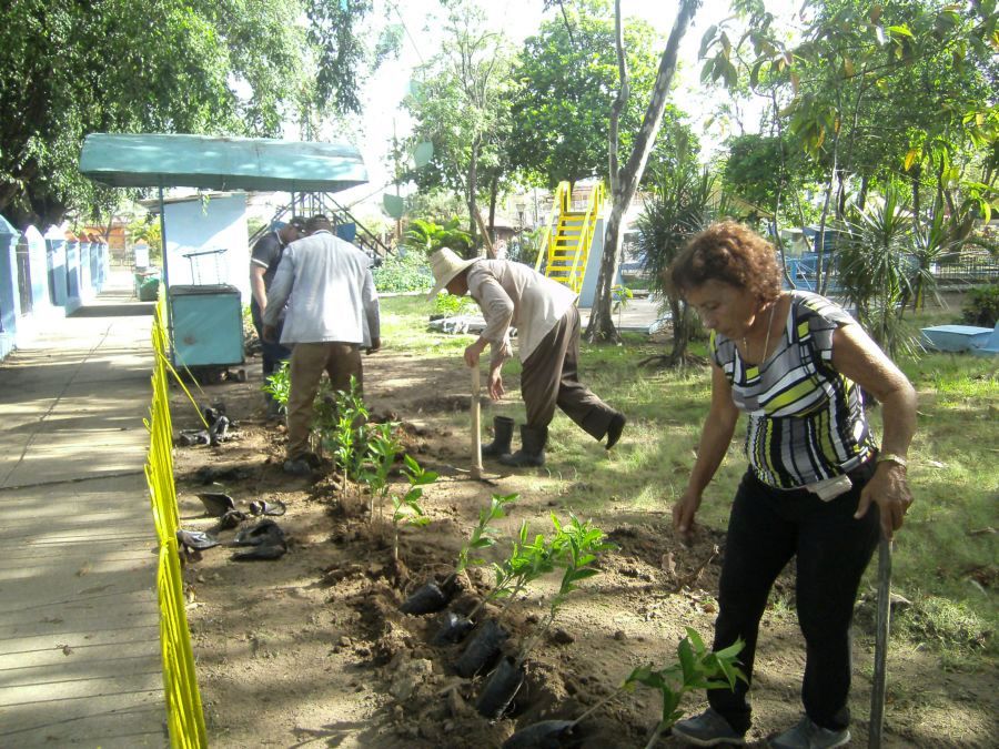 sancti spiritus en 26, servicios comunales, plantas ornamentales, fomento