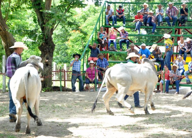 sancti spiritus, feria del cebu, parque de ferias delio luna echemendia