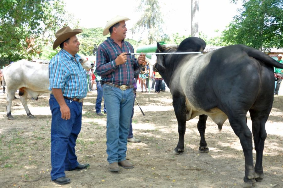 sancti spiritus, feria del cebu, parque de ferias delio luna echemendia