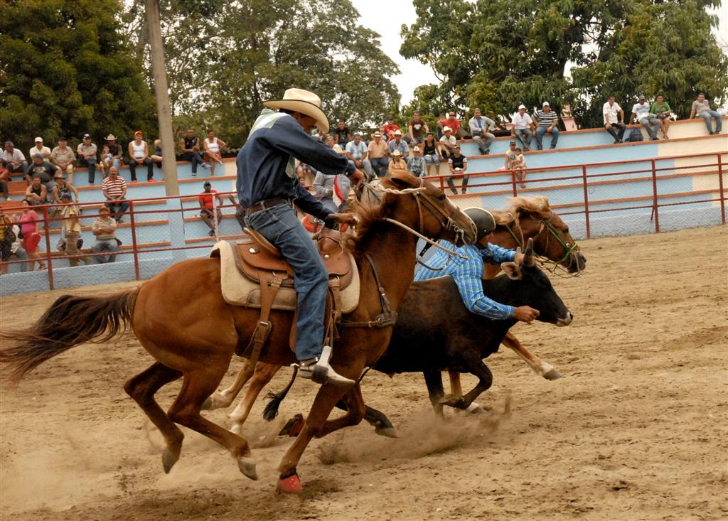 Rodeo, Feria Agropecuaria, ganadería, Sancti Spíritus, Cuba