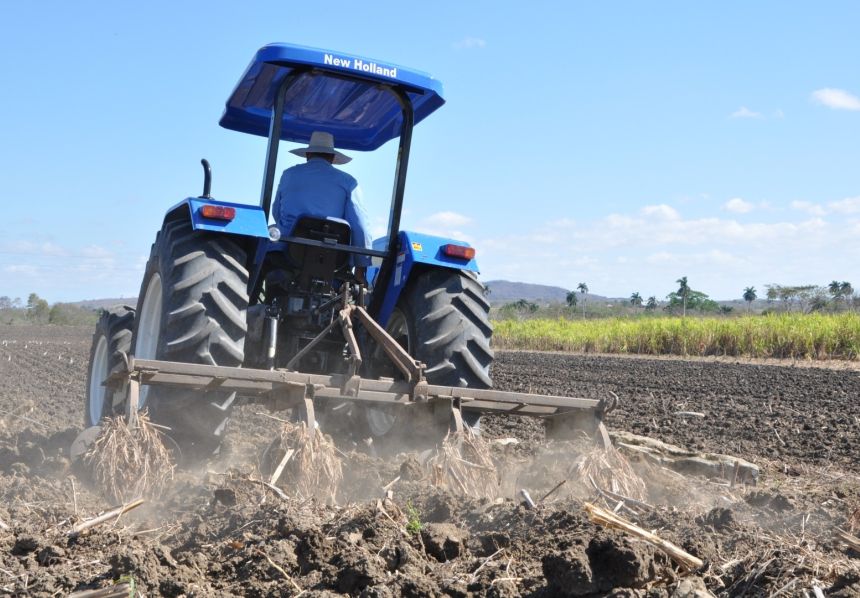 sancti spiritus, sancti spiritus en 26, agricultura, ganderia