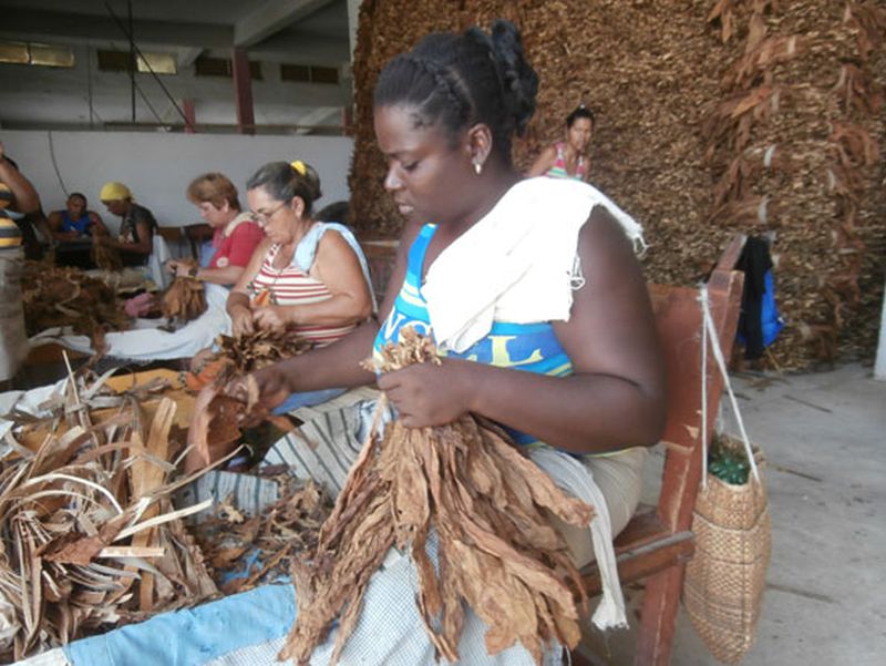 sancti spiritus en 26, tabaco