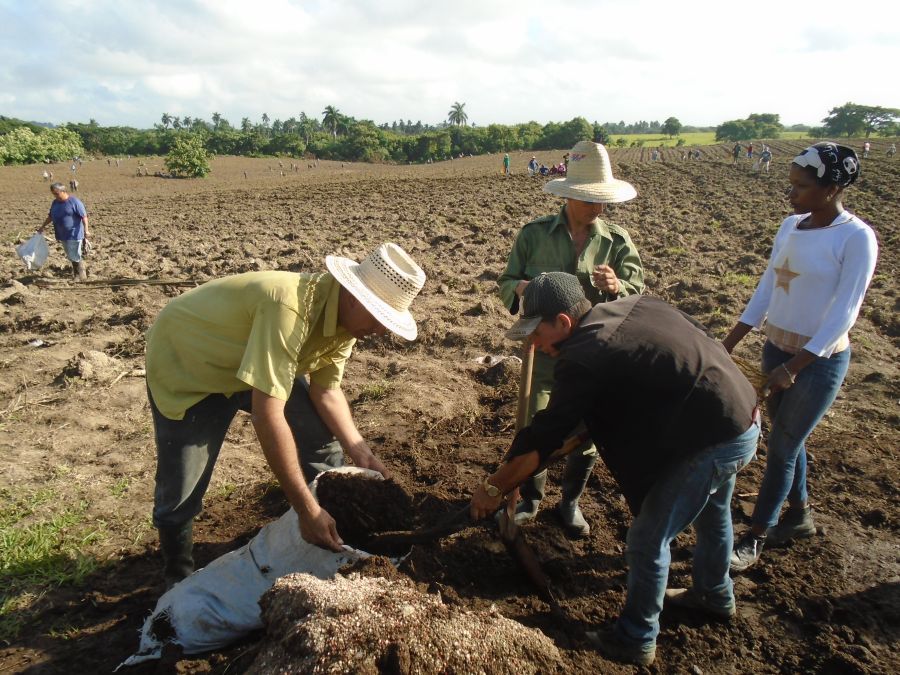 sancti spiritus en 26, fomento, agricultura