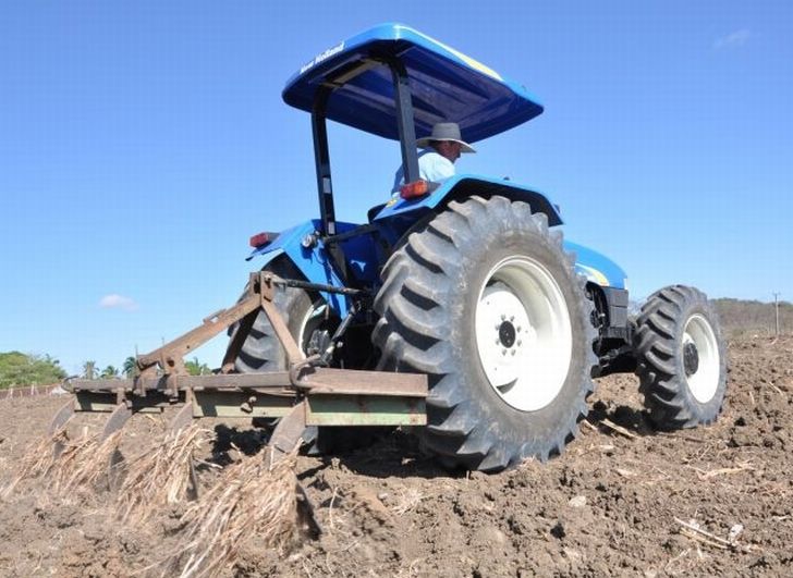 sancti spiritus, agricultura, cultivos varios