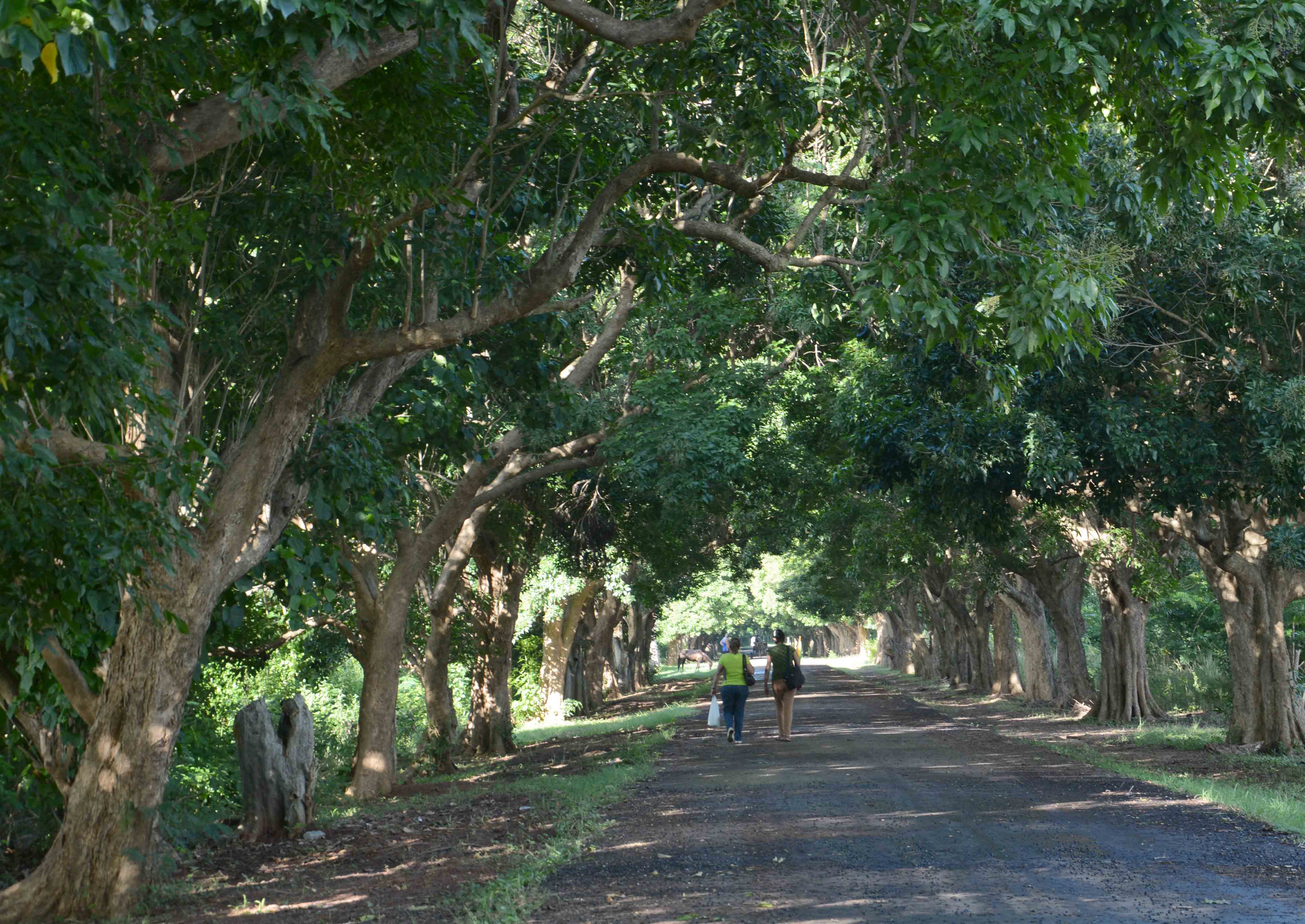 Finca El Abra, José Martí