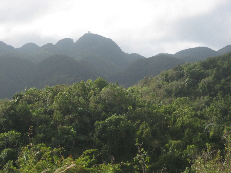 En el Pico San Juan se localizan las dos cavernas más altas de la región central de Cuba. 