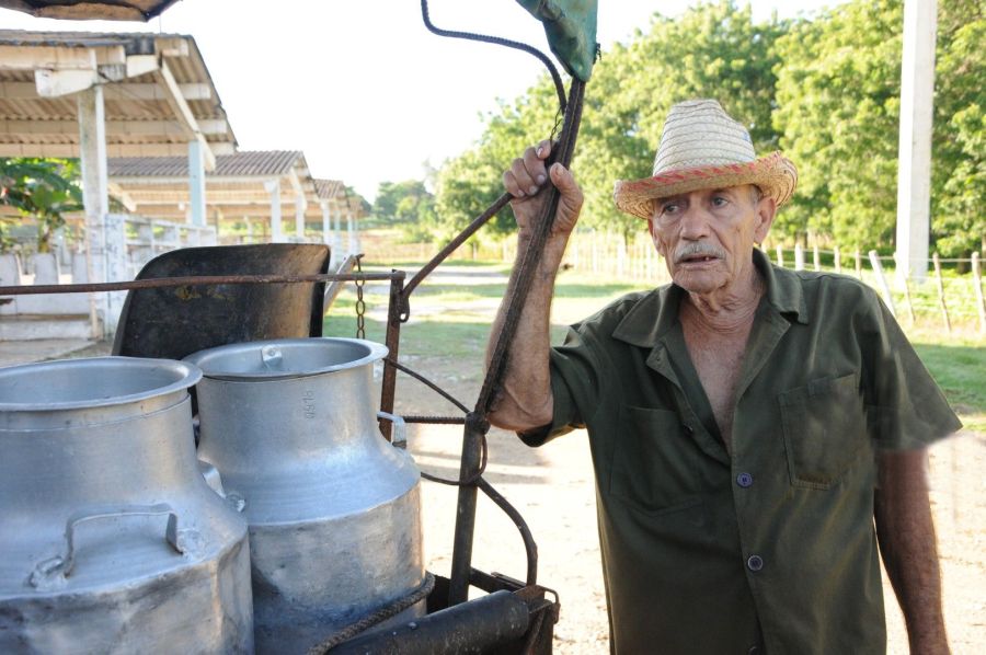 Manuel Almanza Álvarez afirma que el campesino vende la leche para sufragar sus gastos y necesita ese dinero. 