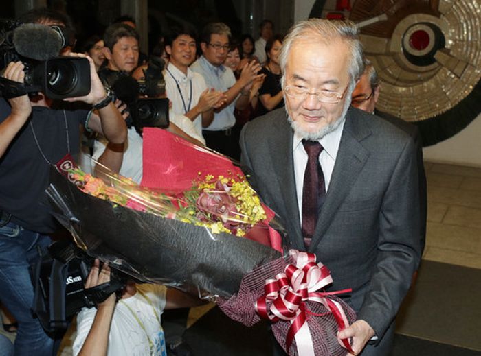 japon, premio nobel, medicina