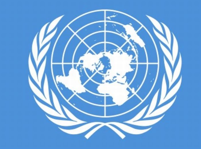 cuba, consejo de derechos humanos, onu, derechos humanos