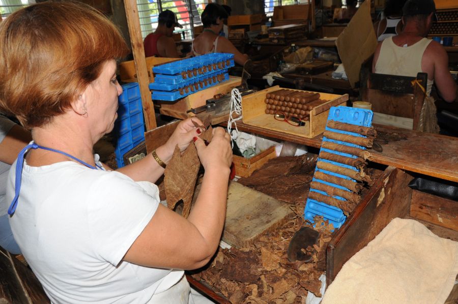 sancti spiritus, economia espirituana, triunfo de la revolucion cubana, agricultura