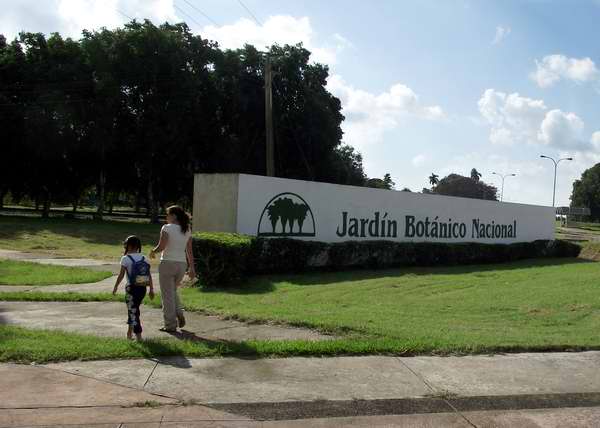 El Jardín Botánico Nacional  resulta uno de los auspiciarores del estudio.