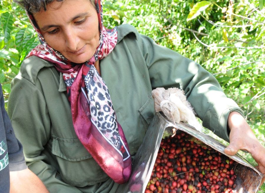 sancti spiritus, mujer rural, agricultura, anap, dia internacional de la mujer rural