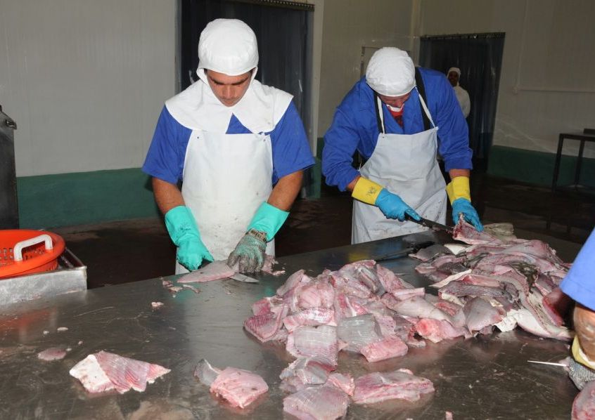 sancti spiritus, pesca, episan, industria pesquera