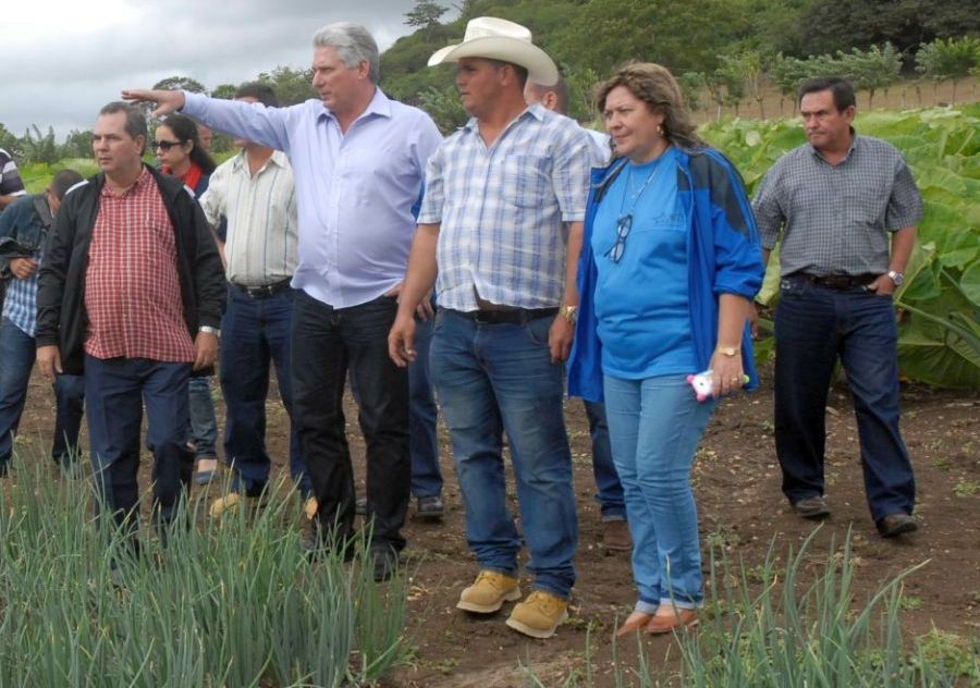 sancti spiritus, miguel diaz-canel bermudez, agricultura, jovenes, universidad de sancti spiritus jose marti, educacion